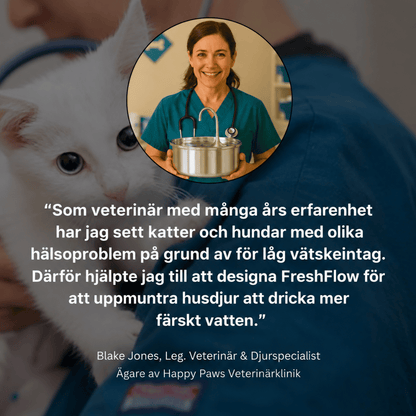 KattKällan - Förebygg hälsoproblem för din katt