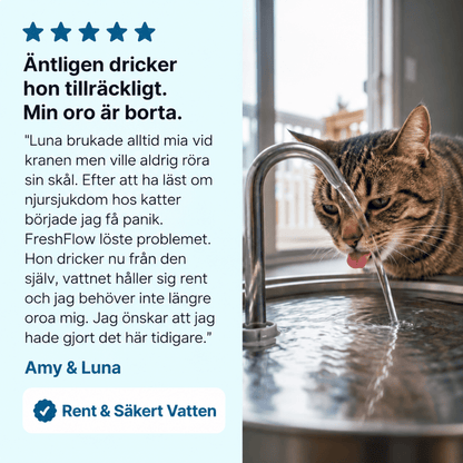 KattKällan - Förebygg hälsoproblem för din katt