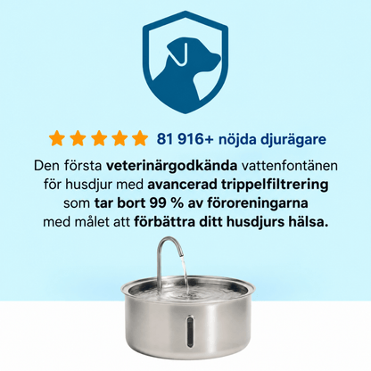 KattKällan - Förebygg hälsoproblem för din katt