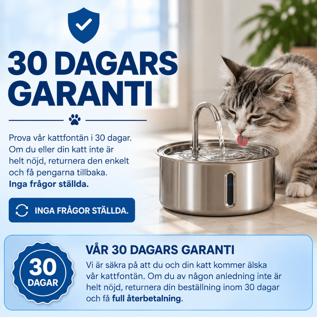 KattKällan - Förebygg hälsoproblem för din katt
